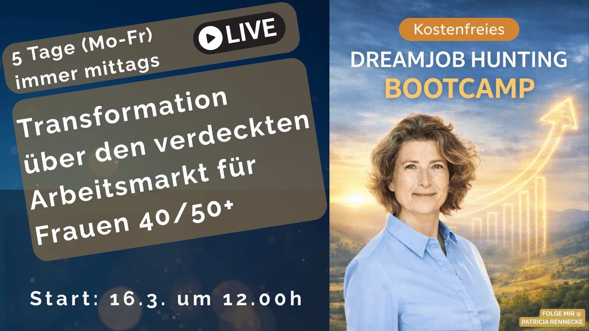 Erfolgreich zum Traumjob