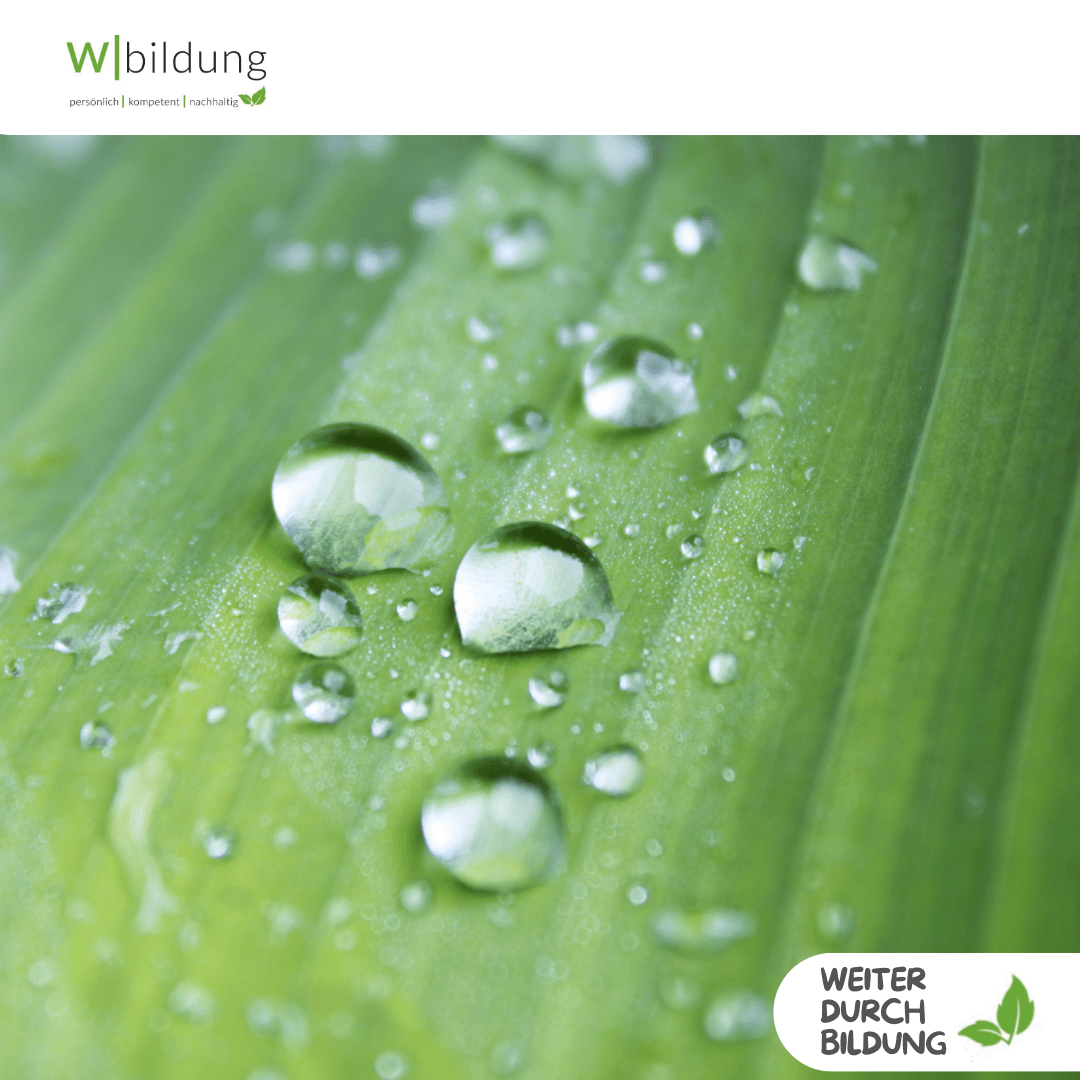 Resilienz neu gedacht – Reset statt Dauerstress