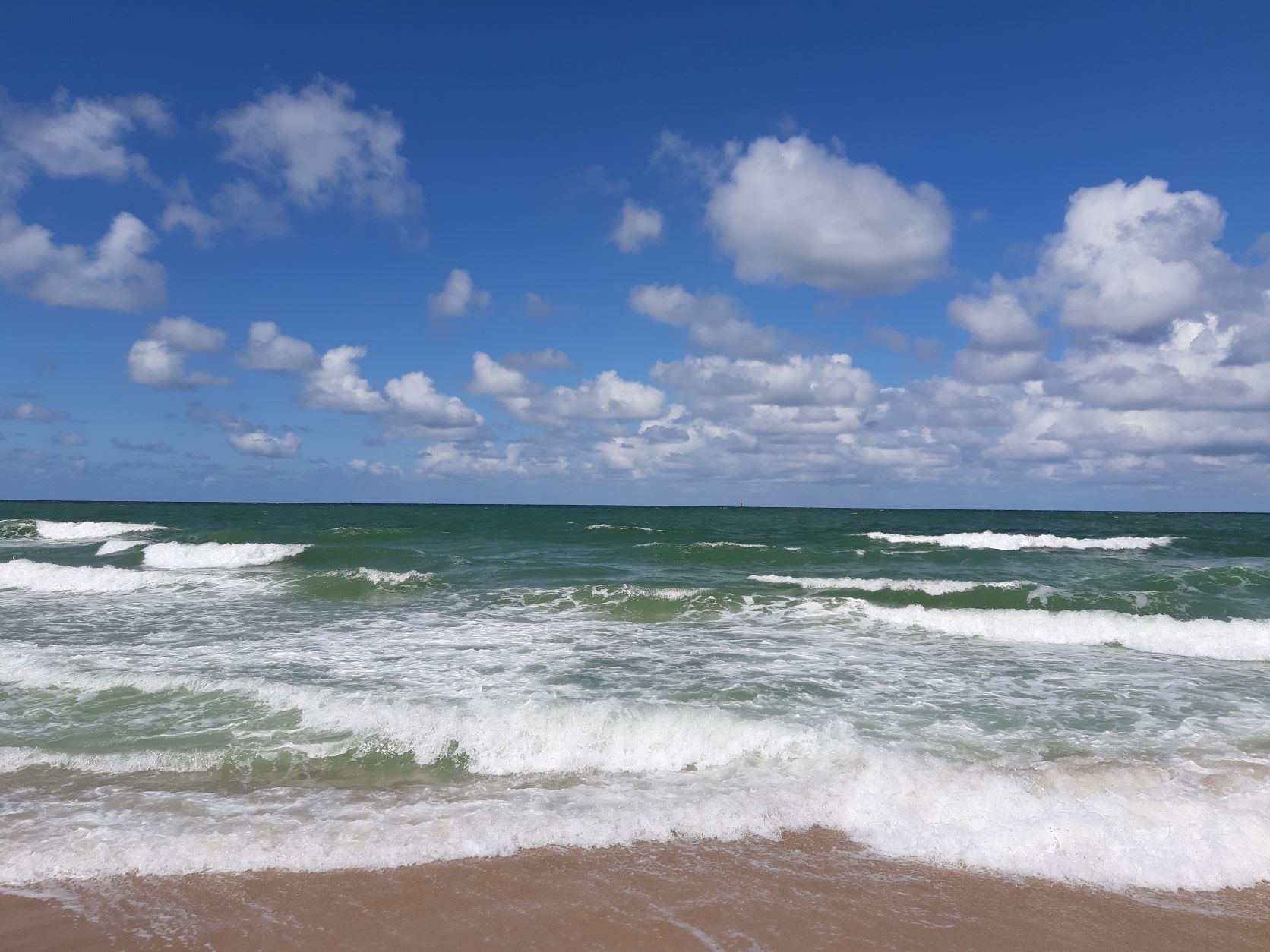 Ausbildung zum zert. Positive Business Expert